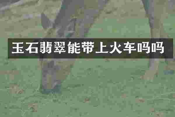 玉石翡翠能带上火车吗吗