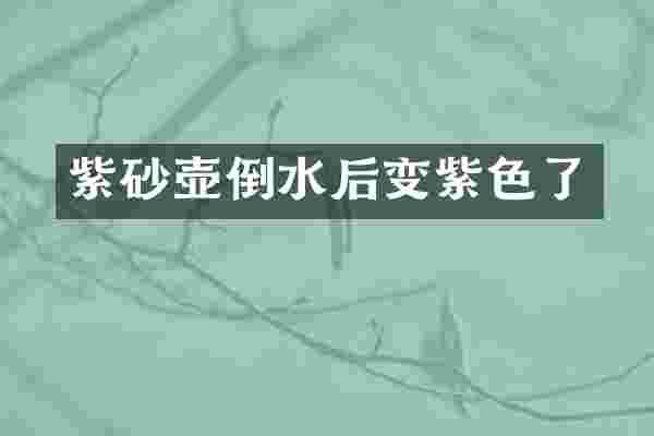 紫砂壶倒水后变紫色了