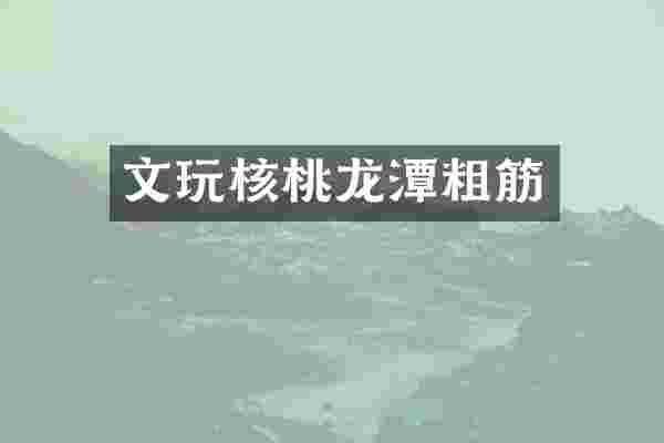 文玩核桃龙潭粗筋