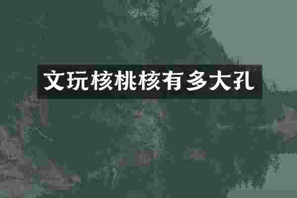 文玩核桃核有多大孔