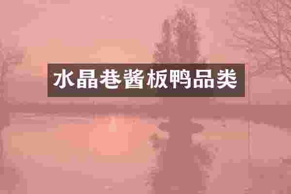 水晶巷酱板鸭品类