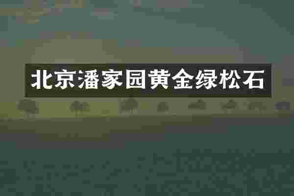 北京潘家园黄金绿松石