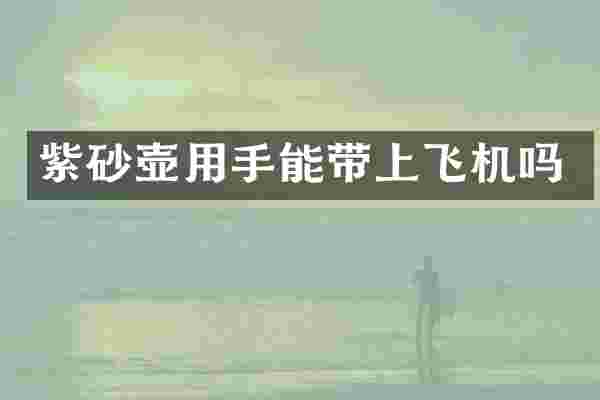 紫砂壶用手能带上飞机吗