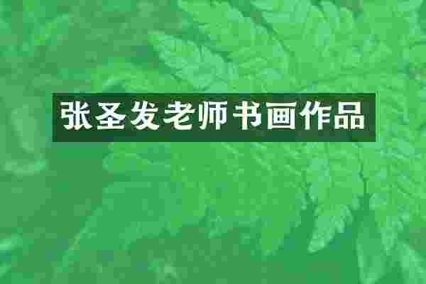 张圣发老师书画作品