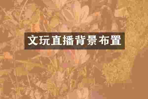 文玩直播背景布置