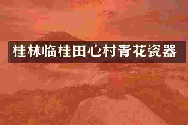 桂林临桂田心村青花瓷器