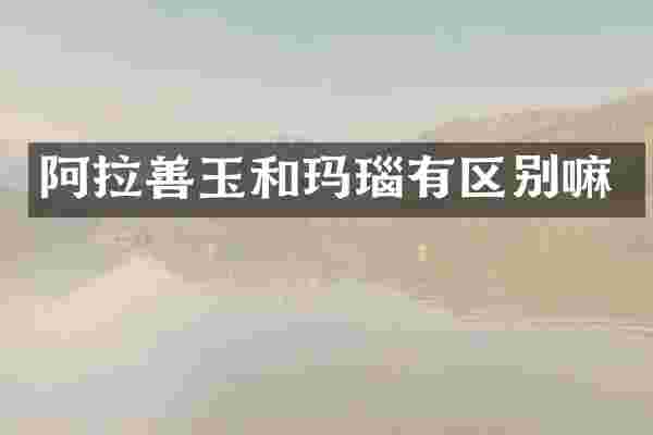 阿拉善玉和玛瑙有区别嘛