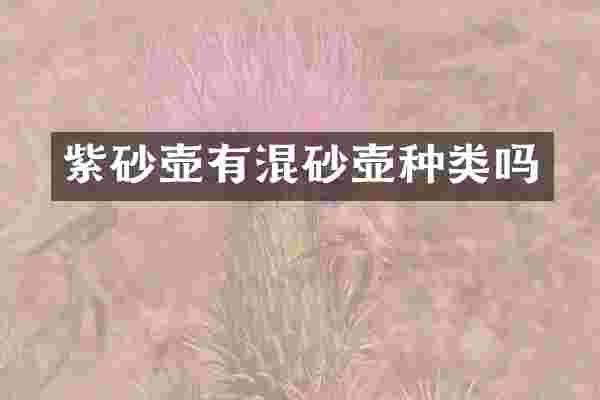 紫砂壶有混砂壶种类吗