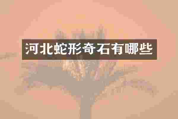 河北蛇形奇石有哪些