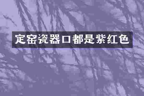 定窑瓷器口都是紫红色
