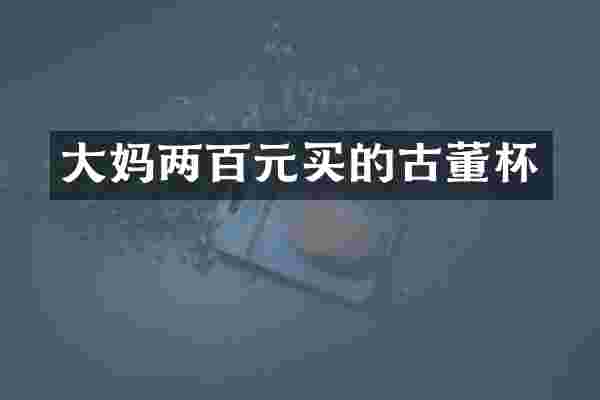 大妈两百元买的古董杯