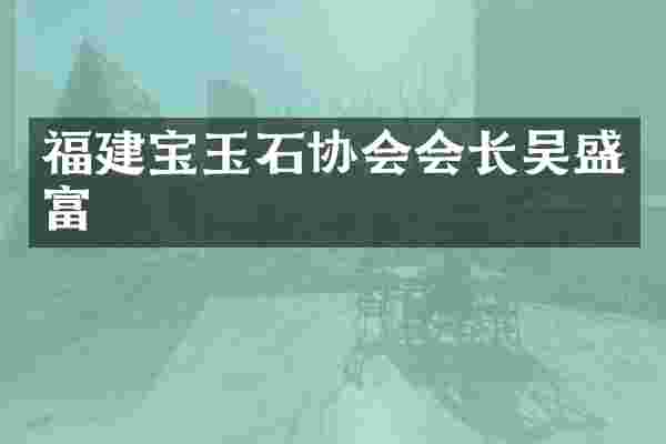 福建宝玉石协会会长吴盛富