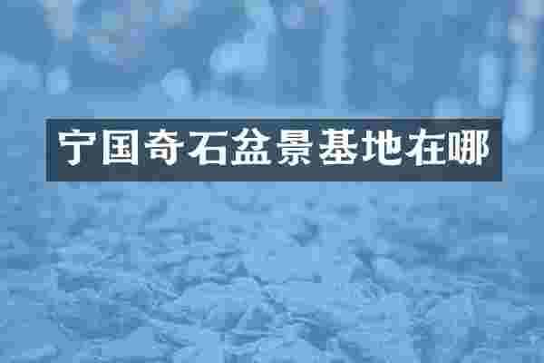 宁国奇石盆景基地在哪