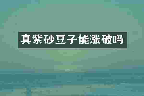 真紫砂豆子能涨破吗