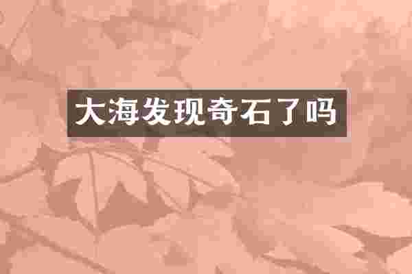 大海发现奇石了吗
