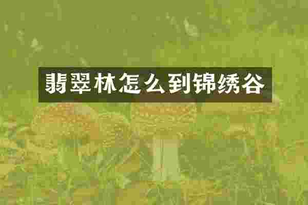 翡翠林怎么到锦绣谷