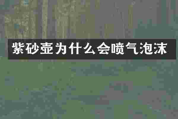 紫砂壶为什么会喷气泡沫