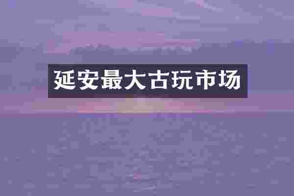 延安最大古玩市场