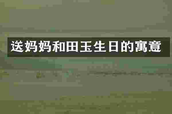 送妈妈和田玉生日的寓意