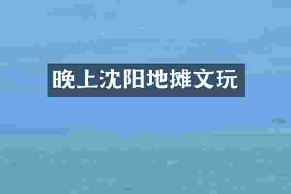 晚上沈阳地摊文玩