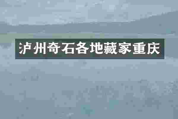 泸州奇石各地藏家重庆