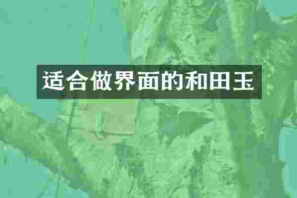 适合做界面的和田玉