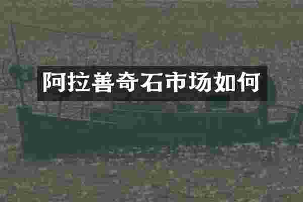 阿拉善奇石市场如何