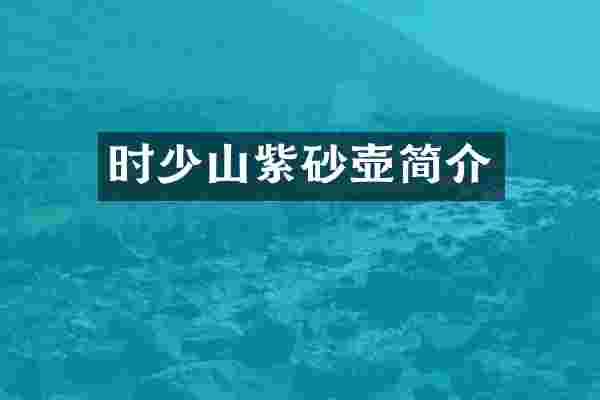 时少山紫砂壶简介