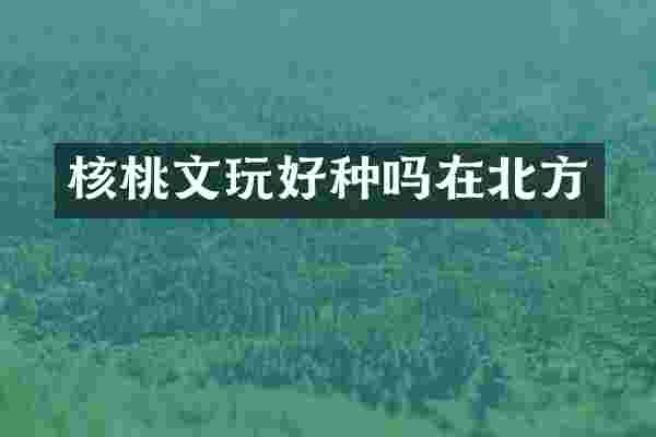 核桃文玩好种吗在北方