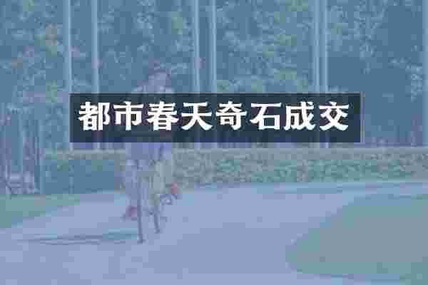都市春天奇石成交