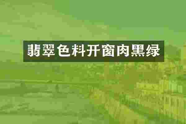 翡翠色料开窗肉黑绿