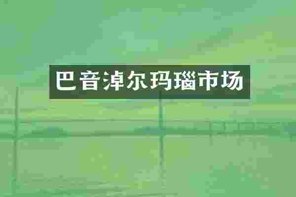 巴音淖尔玛瑙市场