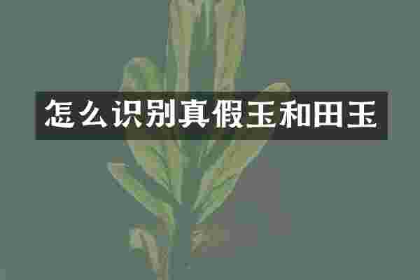 怎么识别真假玉和田玉
