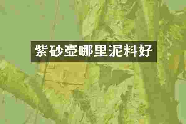紫砂壶哪里泥料好
