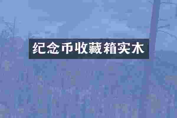 纪念币收藏箱实木