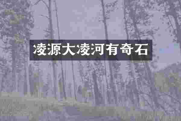 凌源大凌河有奇石