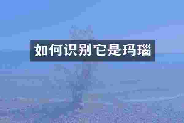 如何识别它是玛瑙