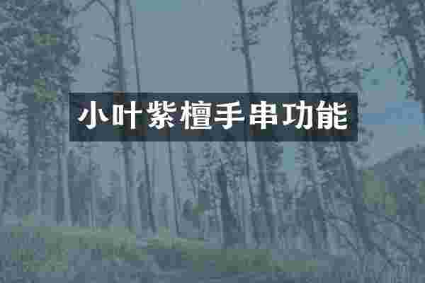 小叶紫檀手串功能