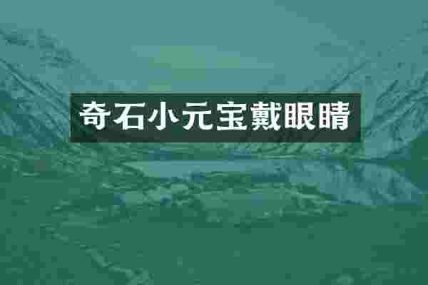 奇石小元宝戴眼睛