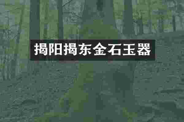 揭阳揭东金石玉器
