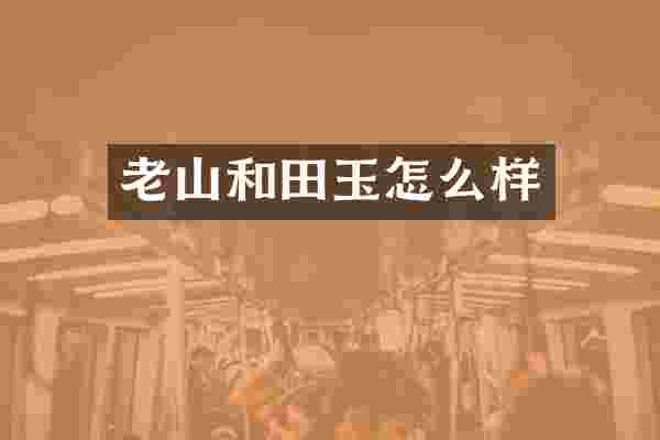 老山和田玉怎么样