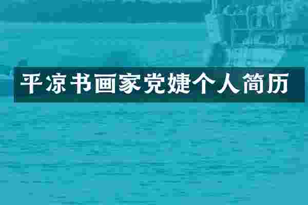 平凉书画家党婕个人简历
