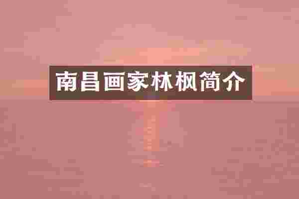 南昌画家林枫简介