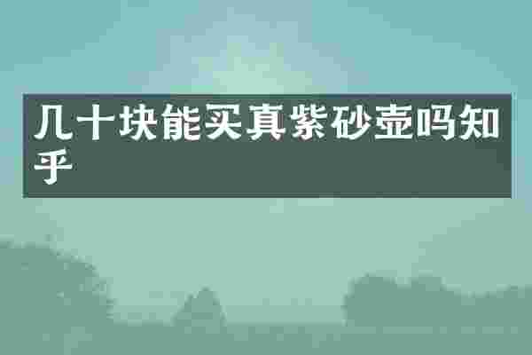 几十块能买真紫砂壶吗知乎