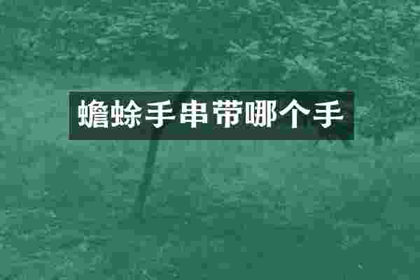 蟾蜍手串带哪个手