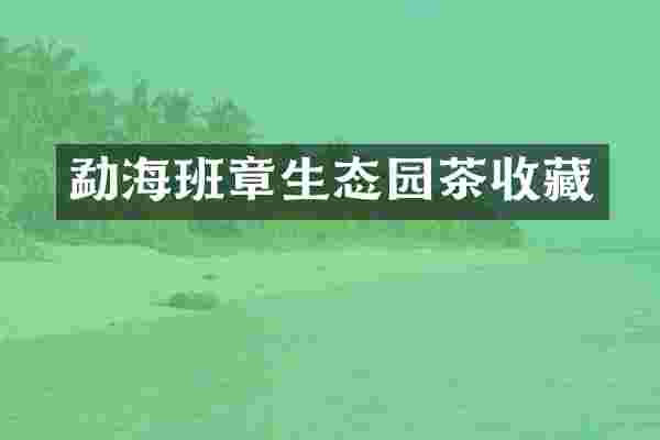 勐海班章生态园茶收藏