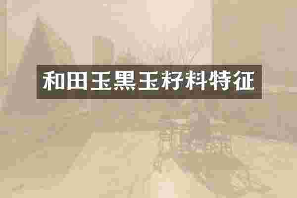 和田玉黑玉籽料特征