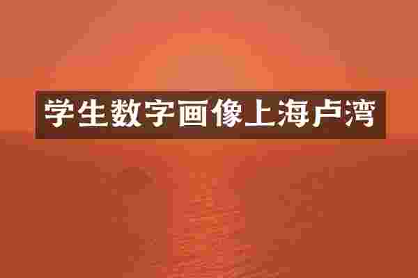 学生数字画像上海卢湾