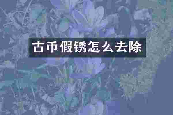 古币假锈怎么去除