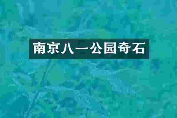 南京八一公园奇石
